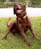 Annabelle Laughing