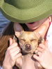 Gordy-in-sun