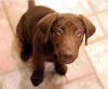 Oscar-2