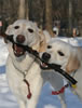 Winn-and-charlie-